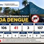 Aumento dos Casos de Dengue em Castilho: Alerta e Medidas de Prevenção