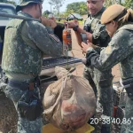 POLÍCIA AMBIENTAL APREENDE 3 MIL METROS DE REDES E PEIXES EM PEREIRA BARRETO