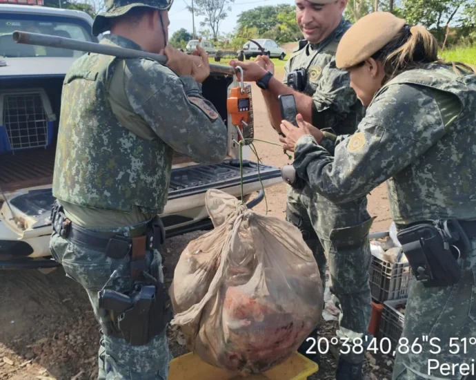 POLÍCIA AMBIENTAL APREENDE 3 MIL METROS DE REDES E PEIXES EM PEREIRA BARRETO POLÍCIA AMBIENTAL APREENDE 3 MIL METROS DE REDES E PEIXES EM PEREIRA BARRETO