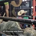 VÍDEO: Touros já estão prontos para a abertura do rodeio em Castilho