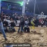 VÍDEO: Touros já estão prontos para a abertura do rodeio em Castilho