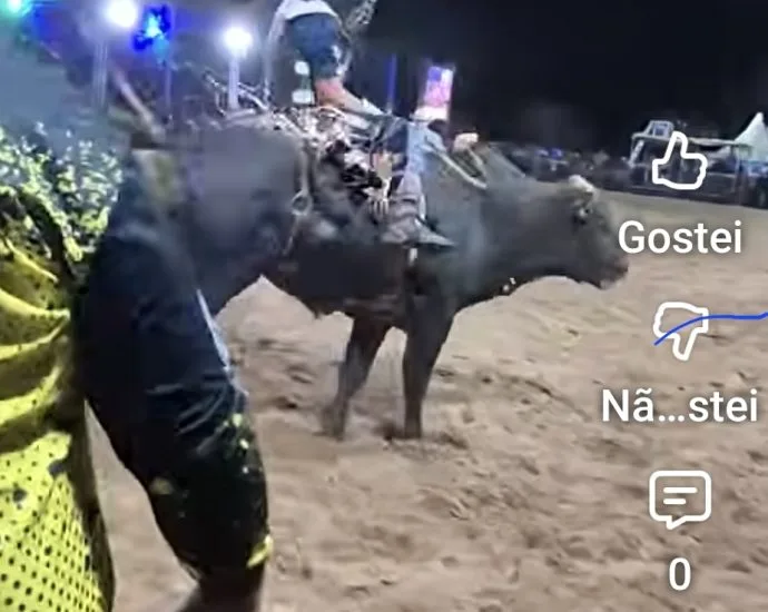 VÍDEO: Rodeio começa e primeiro peão cai na arena da Festa do Peão em Castilho