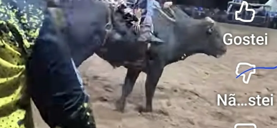 VÍDEO: Rodeio começa e primeiro peão cai na arena da Festa do Peão em Castilho