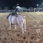 VÍDEO: Montarias começam com touro bravo e queda de peão em Castilho