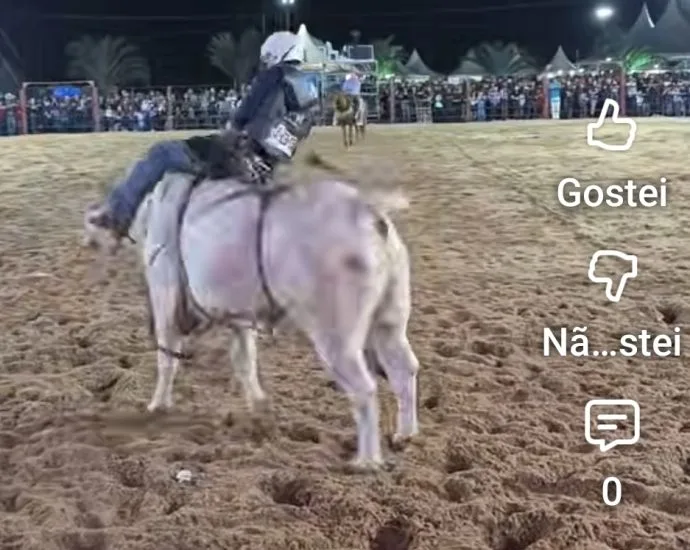 VÍDEO: Montarias começam com touro bravo e queda de peão em Castilho