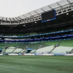 Palmeiras e Santos se enfrentam neste sábado pelo Brasileirão