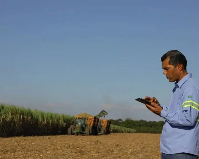 Lins Agroindustrial promove seleção de talentos em Promissão