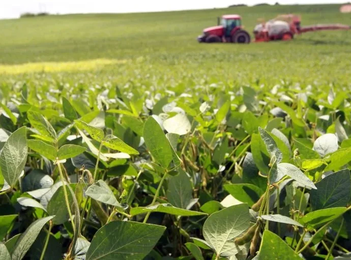 INCEERTEZAS NO MERCADO DE FERTILIZANTES AMEAÇAM SAFRA BRASILEIRA DE SOJA