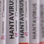 Protocolos de Segurança São Definidos Após Casos de Hantavírus em Navio