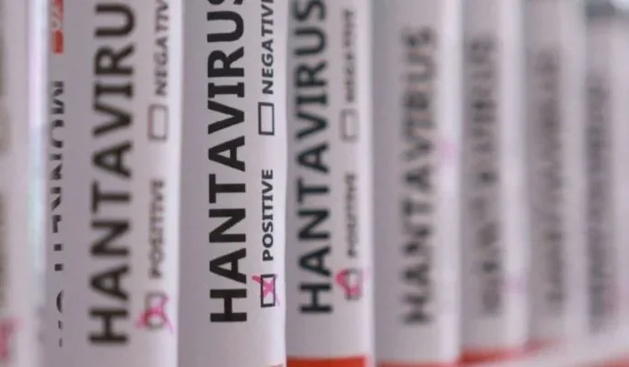 Protocolos de Segurança São Definidos Após Casos de Hantavírus em Navio
