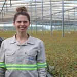 MS Florestal inicia colheita em Água Clara e projeta expansão do setor de celulose em MS