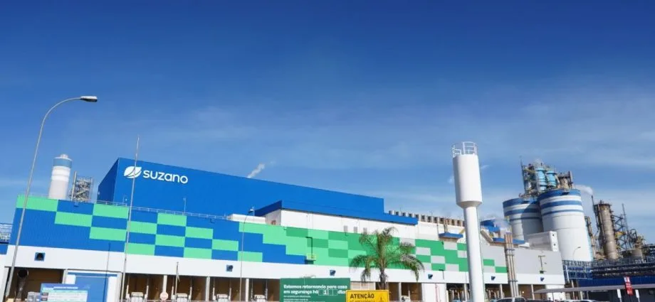 Suzano Realiza Mutirão de Empregos em Três Lagoas para Setor Florestal