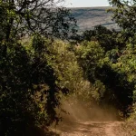 Rally Minas Brasil 2026 chega ao último dia com pilotos da Honda Racing em destaque