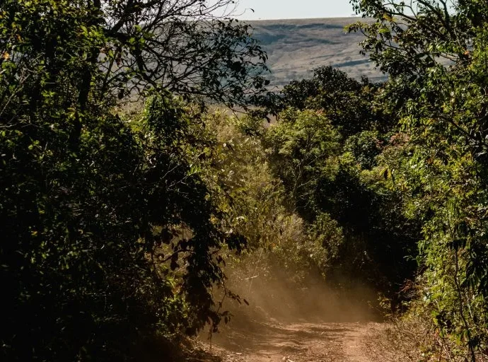 Rally Minas Brasil 2026 chega ao último dia com pilotos da Honda Racing em destaque
