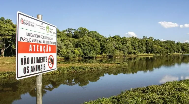 Parque Estadual do Itacolomi: um mergulho na história colonial do Brasil Parque Estadual do Itacolomi: um mergulho na história colonial do Brasil