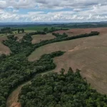 Cresce número de licenças ambientais para projetos de biometano em São Paulo