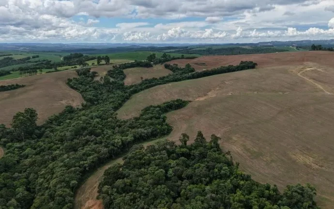 Cresce número de licenças ambientais para projetos de biometano em São Paulo