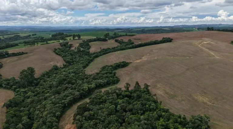 Cresce número de licenças ambientais para projetos de biometano em São Paulo