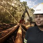 Arauco Realiza Feira de Profissões em Três Lagoas para Criar 800 Oportunidades no Projeto Sucuriú