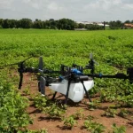 Tecnologia no campo impulsiona produtividade dos agricultores brasileiros