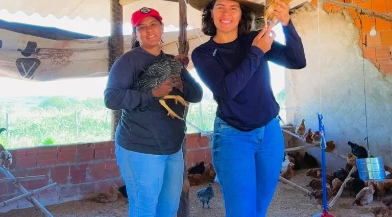 Microcrédito transforma a avicultura de agricultoras em Brazlândia
