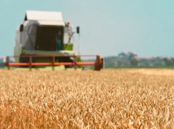 O papel do agronegócio brasileiro em meio a crises globais