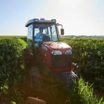 Dia Nacional do Café destaca a mecanização na produção brasileira