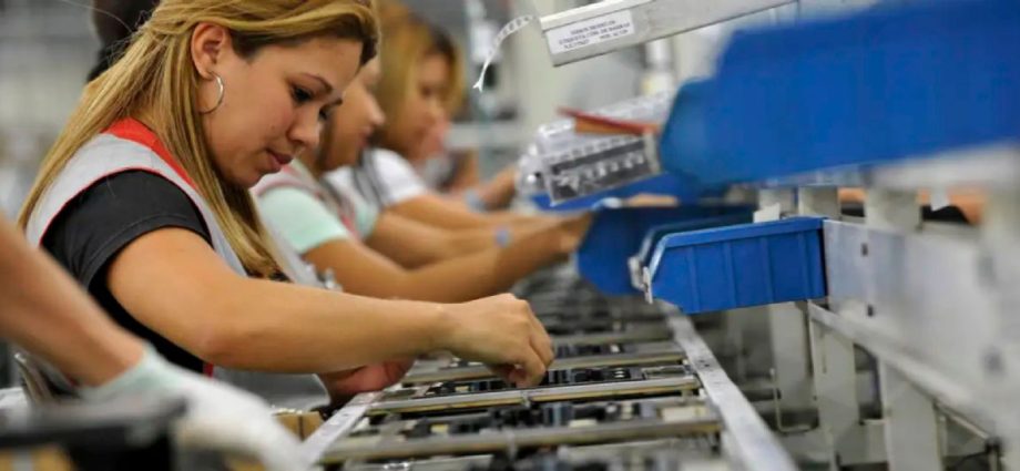 São Paulo lidera a criação de empregos no Brasil com mais de 2 mil vagas formais por dia
