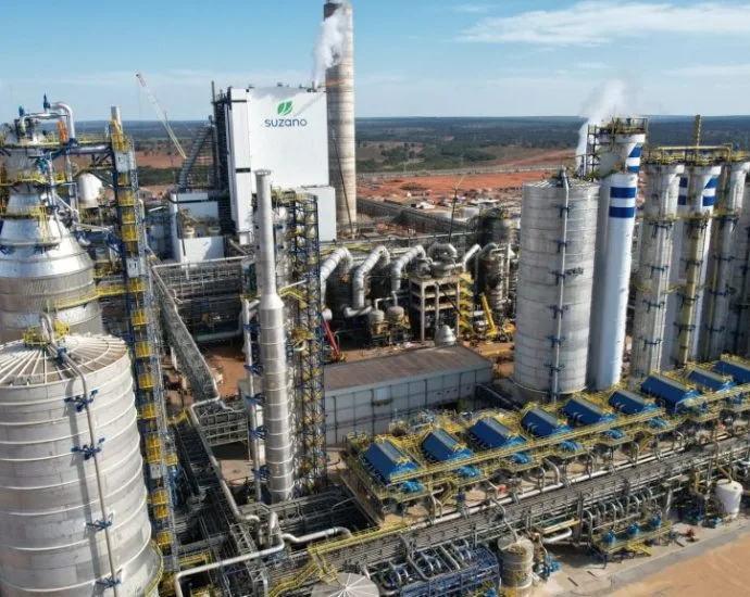 Suzano Abre Novas Vagas em Ribas do Rio Pardo: Oportunidades na Indústria e Silvicultura