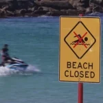 Mulher é gravemente ferida em ataque de tubarão em Sydney