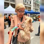 Venezuelana compartilha experiência angustiante após terremotos devastadores