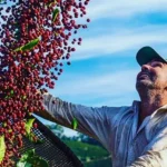 Café da Copa do Mundo: Fazenda paulista inova para conquistar paladares