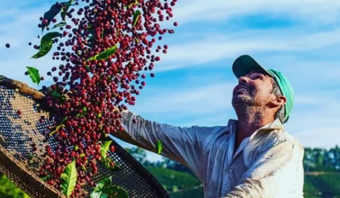 Café da Copa do Mundo: Fazenda paulista inova para conquistar paladares