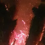 INCÊNDIO EM FIGUEIRA HISTÓRICA MOBILIZA CORPO DE BOMBEIROS EM TRÊS LAGOAS