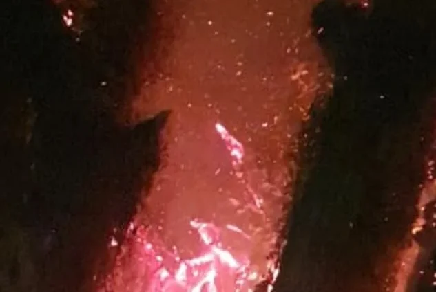 INCÊNDIO EM FIGUEIRA HISTÓRICA MOBILIZA CORPO DE BOMBEIROS EM TRÊS LAGOAS