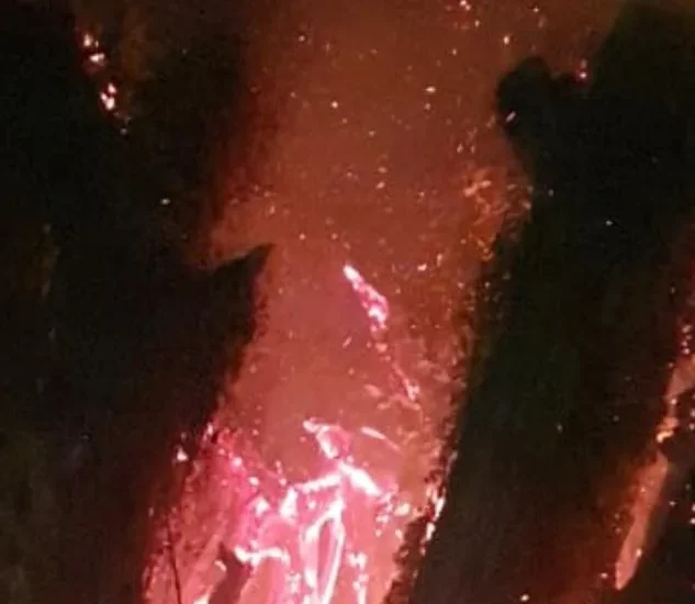 INCÊNDIO EM FIGUEIRA HISTÓRICA MOBILIZA CORPO DE BOMBEIROS EM TRÊS LAGOAS