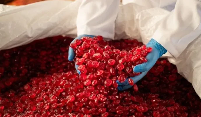 AmbiÁlcool inova na produção de etanol a partir de resíduos alimentares