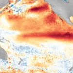 Impactos do El Niño nas Culturas Tropicais: O Que Esperar