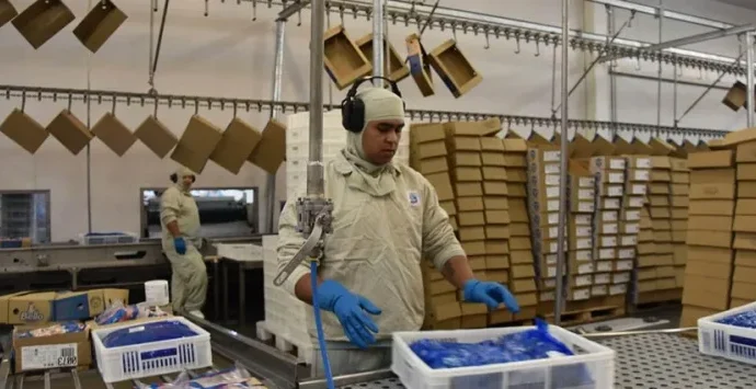 Exportações de produtos industrializados em MS alcançam US$ 605,1 milhões em maio Exportações de produtos industrializados em MS alcançam US$ 605,1 milhões em maio