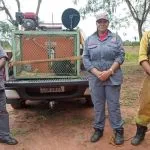 MACACO FERIDO É RESGATADO PELA BRIGADA EM CASTILHO (SP)