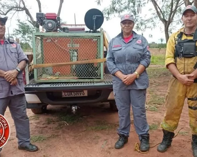 MACACO FERIDO É RESGATADO PELA BRIGADA EM CASTILHO (SP)