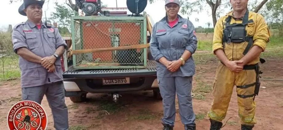 MACACO FERIDO É RESGATADO PELA BRIGADA EM CASTILHO (SP) MACACO FERIDO É RESGATADO PELA BRIGADA EM CASTILHO (SP)