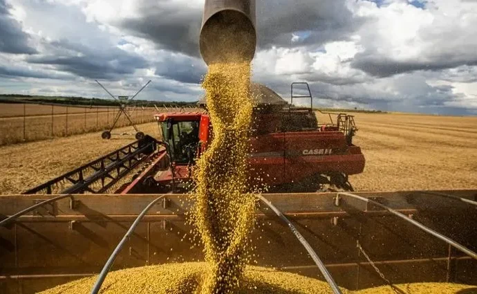 Queda de Preços do Óleo de Soja Acompanha Safra Recorde no Brasil