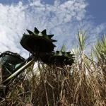 Tereos registra queda de 62% no lucro líquido da safra 2025/26
