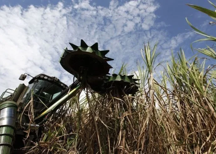 Tereos registra queda de 62% no lucro líquido da safra 2025/26