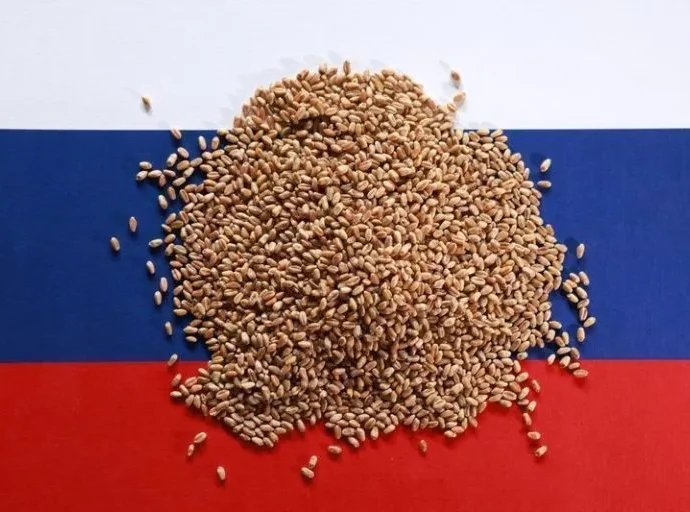 Argus Aumenta Expectativa para Safra de Trigo na Rússia em 2026/27