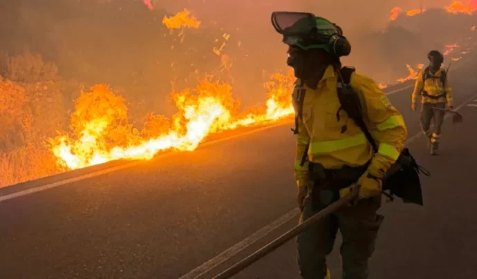 Incêndio Florestal em Almería Resulta em 12 Mortes Incêndio Florestal em Almería Resulta em 12 Mortes