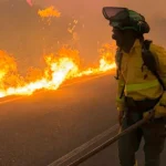 Incêndio florestal em Almería, Espanha, resulta em 12 mortes
