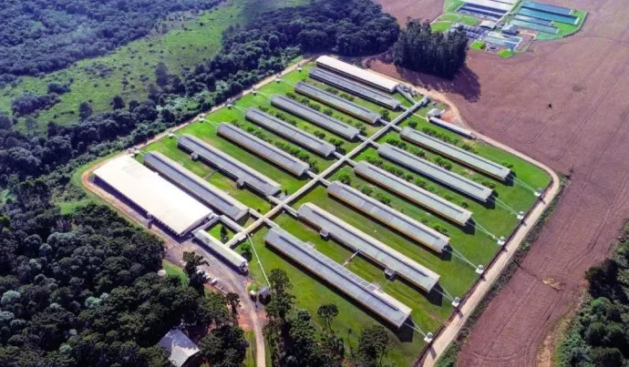 BNDES aprova financiamento de R$ 72,5 milhões para granja de suinocultura em Santa Catarina
