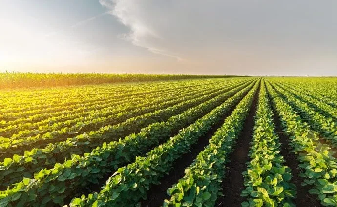 Destaques da Mídia Agrícola e Política de 29 e 30 de Junho de 2026